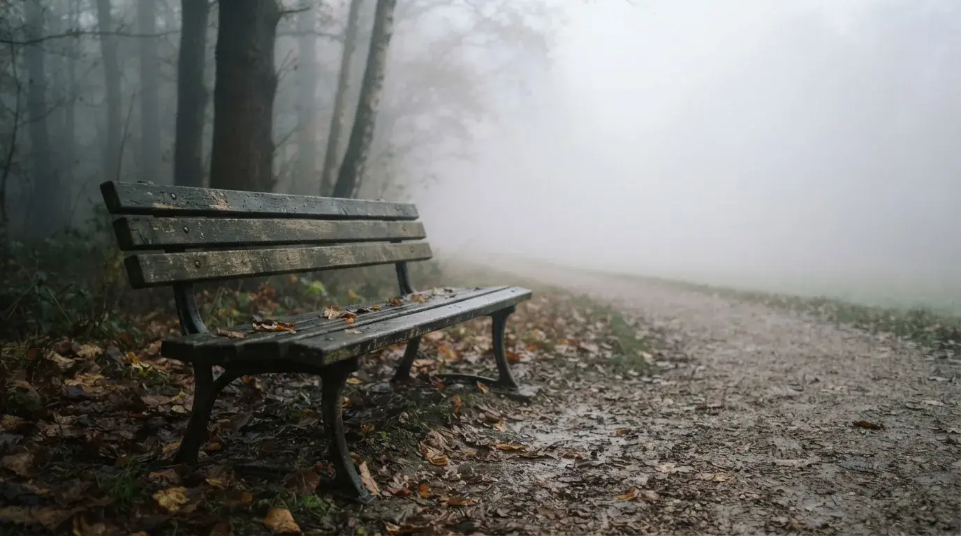 Samotna ławka w parku we mgle, jesienne liście leżą na siedzisku.